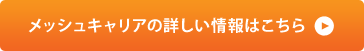 メッシュキャリアの詳しい情報はこちら